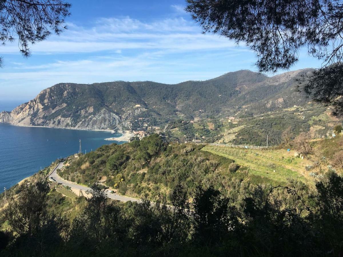 La Terrazza Di Monterosso Apartment มอนเตรอสโซ อัล มาเร ภายนอก รูปภาพ