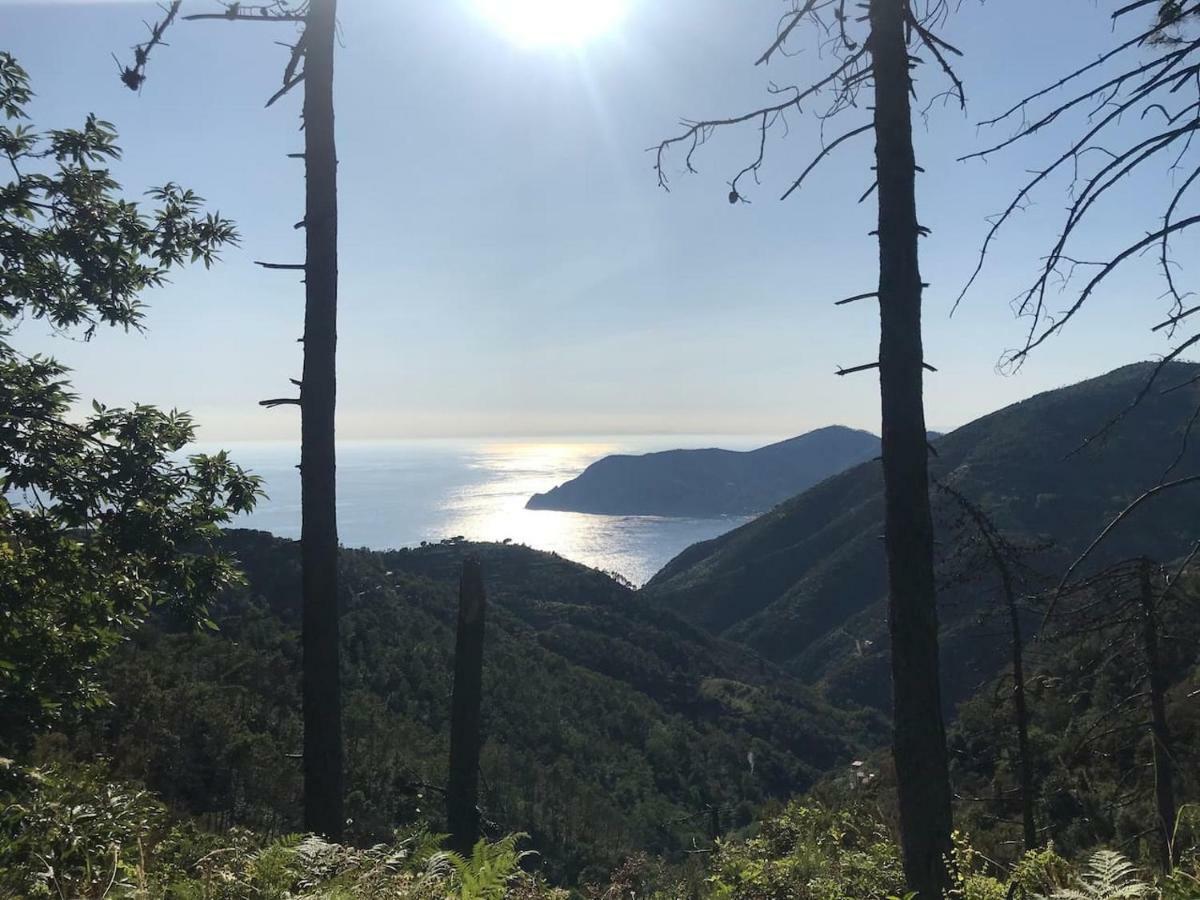 La Terrazza Di Monterosso Apartment มอนเตรอสโซ อัล มาเร ภายนอก รูปภาพ